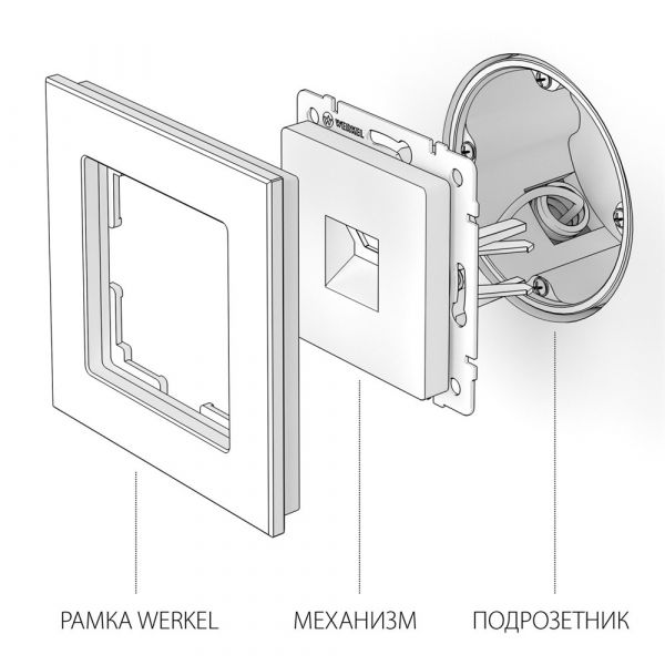 Розетка Ethernet RJ-45 /WL02-RJ-45 (глянцевый никель)