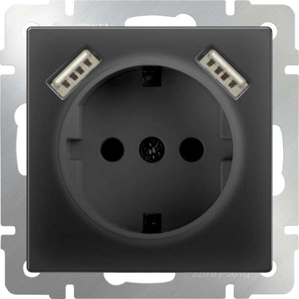 Розетка с заземлением и шторками и USBx2 /WL08-SKGS-USBх2-IP20 (черный матовый)