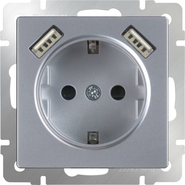 Розетка с заземлением и шторками и USBx2 /WL06-SKGS-USBх2-IP20 (серебрянный)